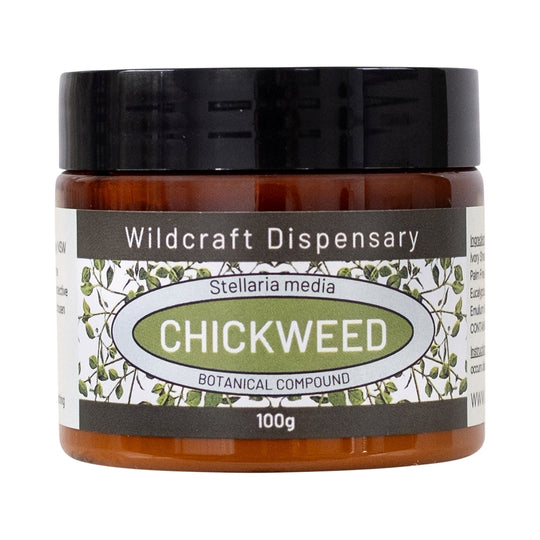 Wildcraft Dispensary Chickweed Herbal Ointment 100g