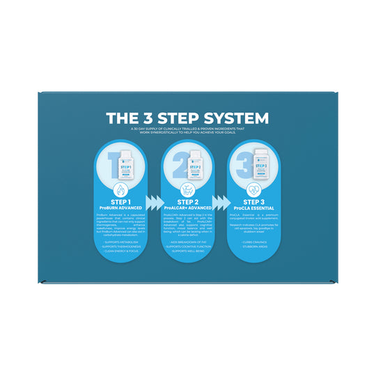 PC LABORATORIES 3 STEP SYSTEM KIT