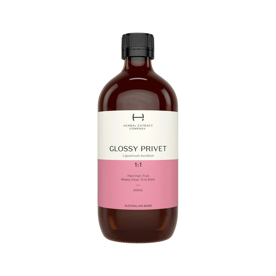 Herbal Extract Company Glossy Privet 1:1 500ml