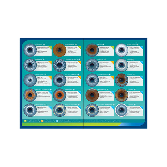 Integrated Iridology Desk Folding Chart Constitutions with Hematogenic Variation