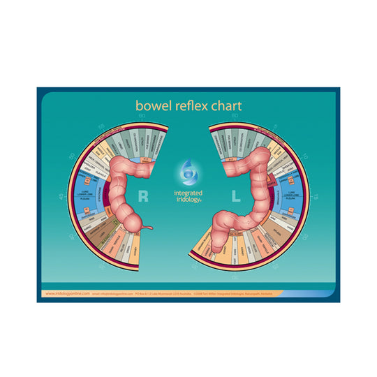 Integrated Iridology Poster Chart Bowel Reflex