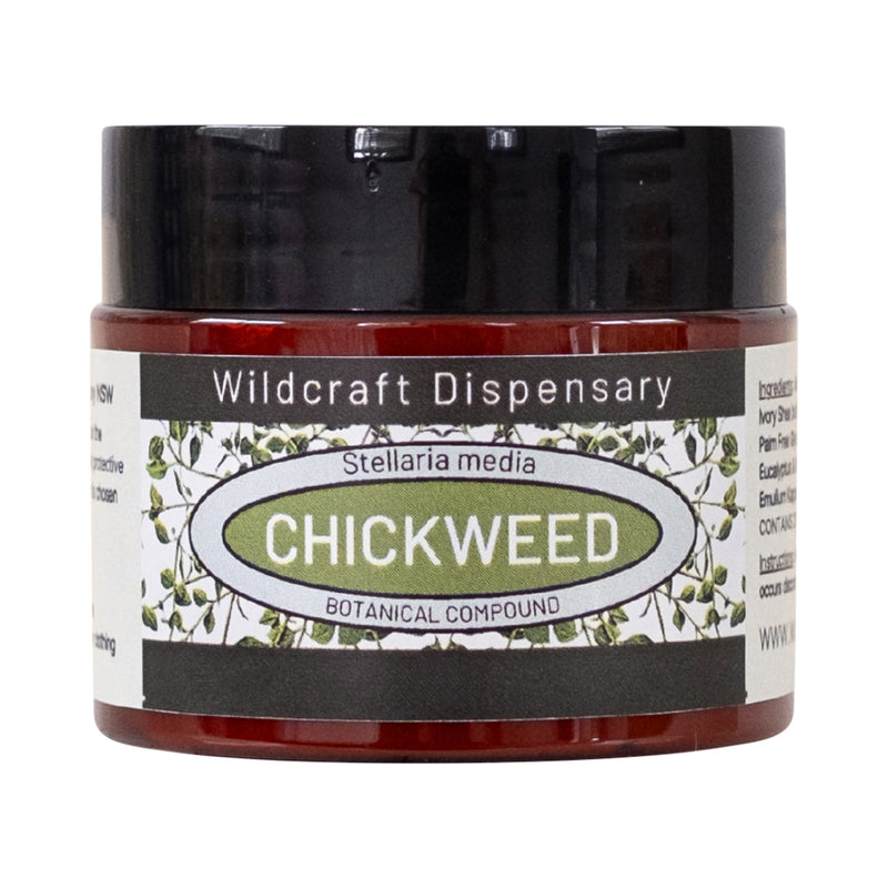 WILDCRAFT DISPENSARY CHICKWEED OINTMENT 50G