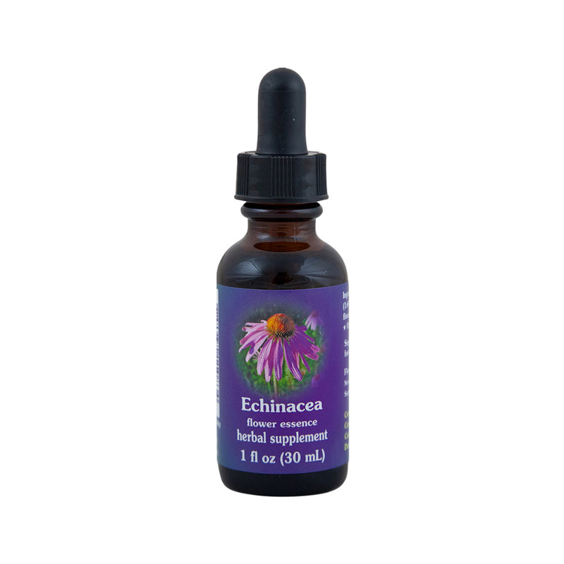 FES Organic Quintessentials Flower Essence Echinacea 30ml