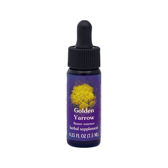 FES Organic Quintessentials Flower Essence Golden Yarrow 7.5ml