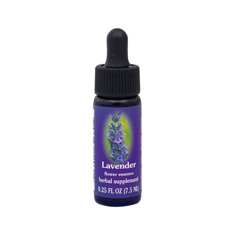 FES Organic Quintessentials Flower Essence Lavender 7.5ml