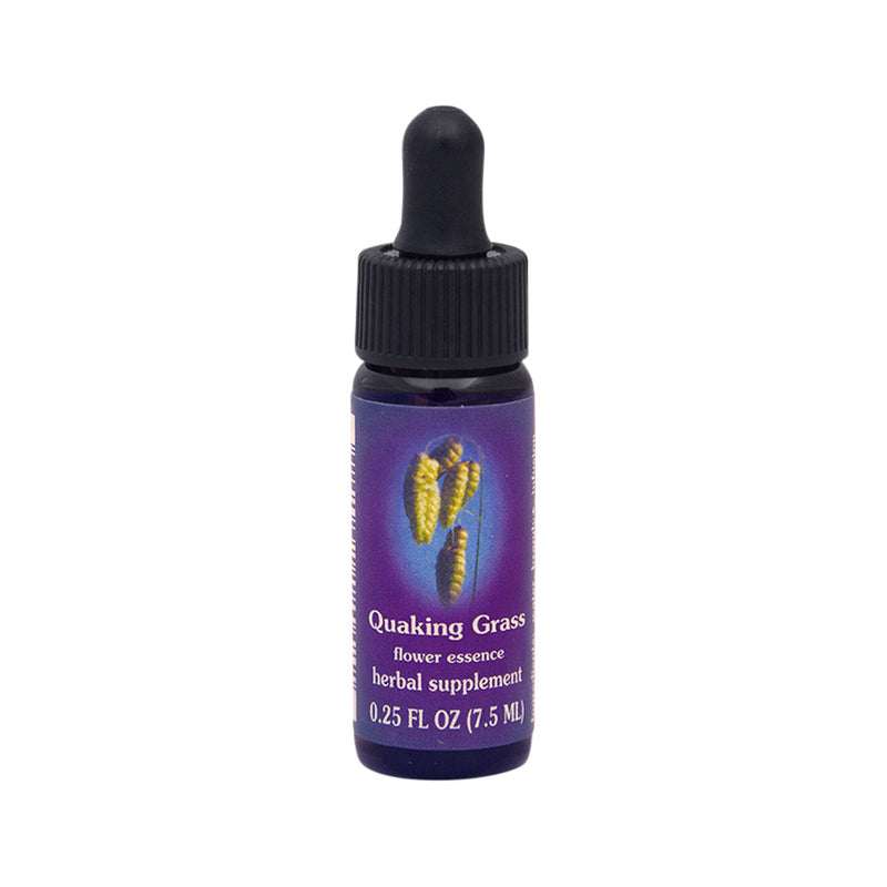 FES Organic Quintessentials Flower Essence Quaking Grass 7.5ml