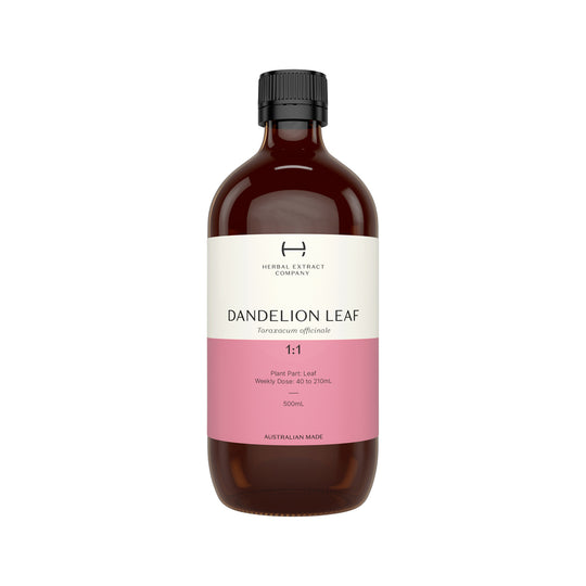 Herbal Extract Company Dandelion Leaf 1:1 500ml