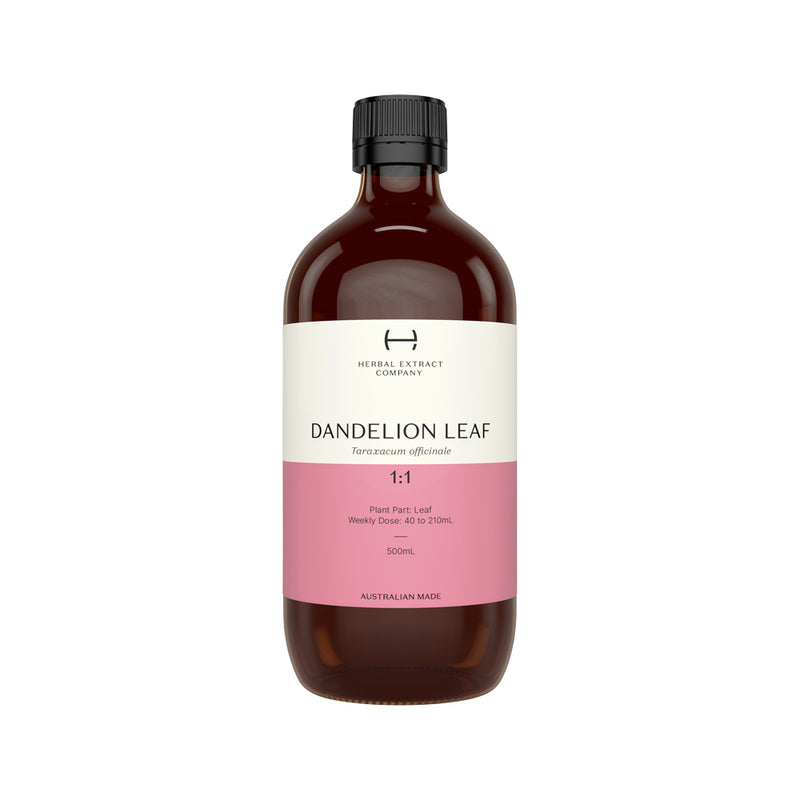 Herbal Extract Company Dandelion Leaf 1:1 500ml