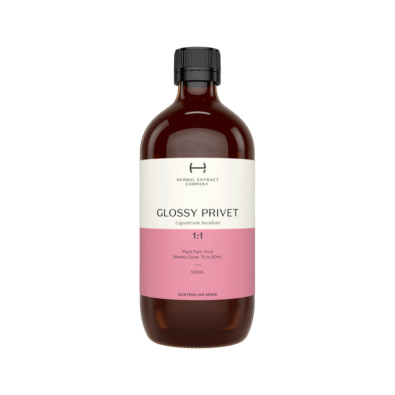 Herbal Extract Company Glossy Privet 1:1 500ml