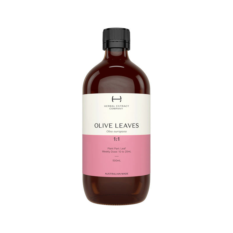 Herbal Extract Company Olive Leaves 1:1 500ml