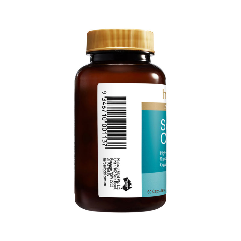 Herbs of Gold Sea Buckthorn Oil 60c