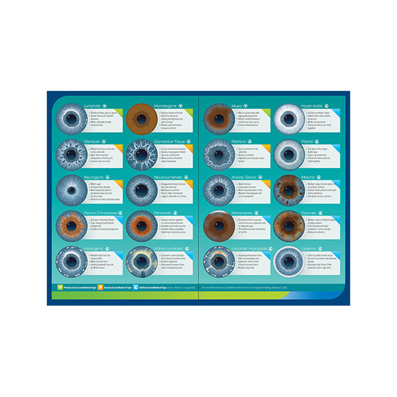 Integrated Iridology Desk Folding Chart Constitutions with Hematogenic Variation