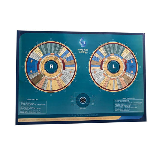 Integrated Iridology Wall Poster Chart (non-laminated) Iris Chart