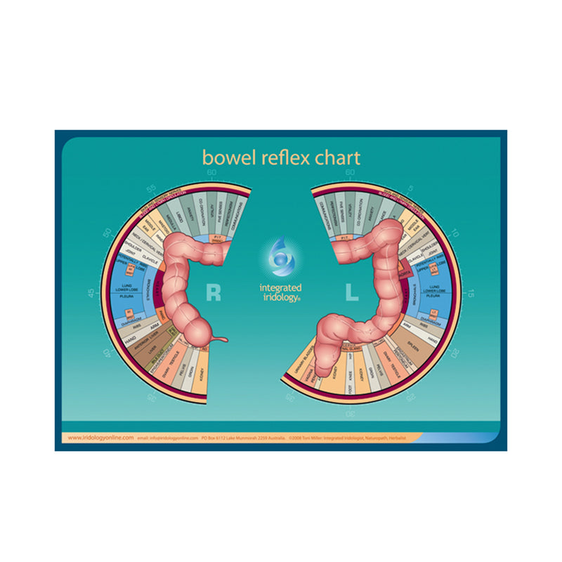 Integrated Iridology Poster Chart Bowel Reflex